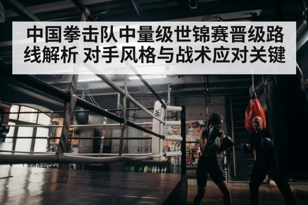 boxer training gym