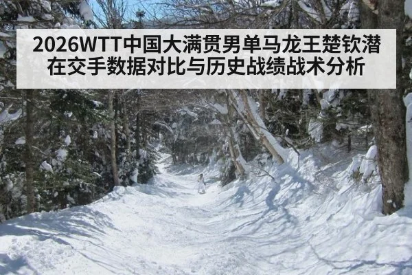 2026WTT中国大满贯男单马龙王楚钦潜在交手数据对比与历史战绩战术分析
